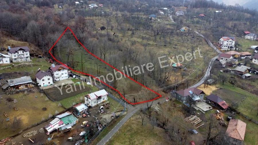 Teren de vanzare in comuna Arefu, jude? Arge?. - 17