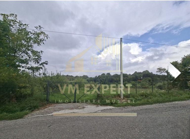 TEREN 20.621 MP CAMPULUNG - 8