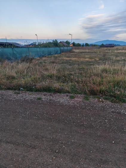 Teren Intravilan de vanzare - 2