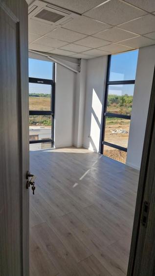 HALA NOUA depozitare si spatiu de birouri RUDENI - 11