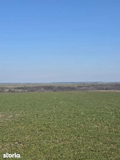 Teren de vanzare, 3800 mp, zona Mischii sat Gogosesti - 2