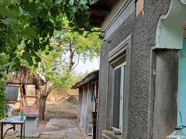 casa la tara sat Sili?tea com Vitane?ti jud Teleorman - 1