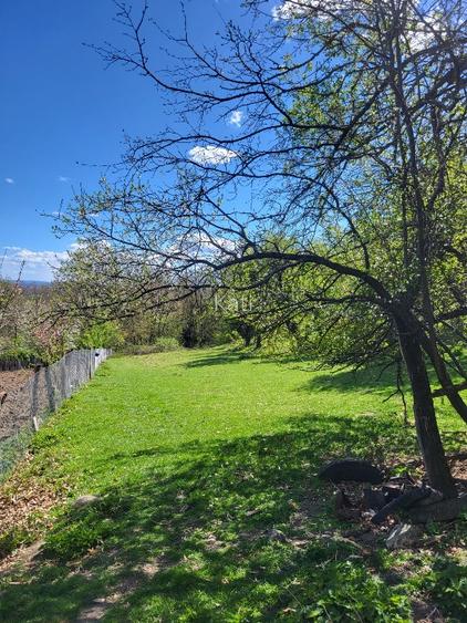 Vand 2 case batranesti Musetesti Gorj