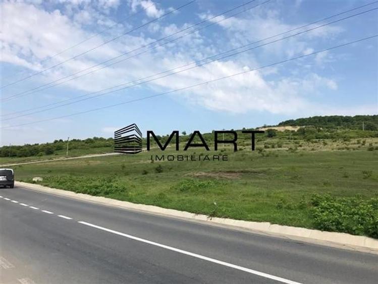 Teren 6,7 ha Dealul Daii langa Bavaria - 2