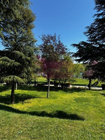 Apartament 3 camere, la parc IOR - 14