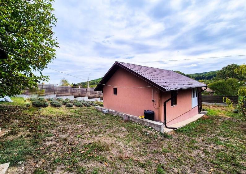 Casa , teren intravilan Valea Mare Stefanesti Arges - 10