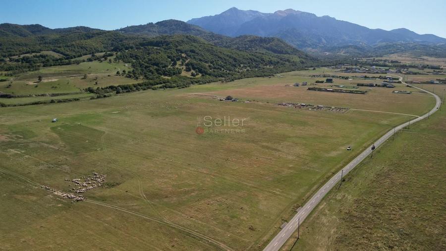 Teren extravilan Rasnov - 11