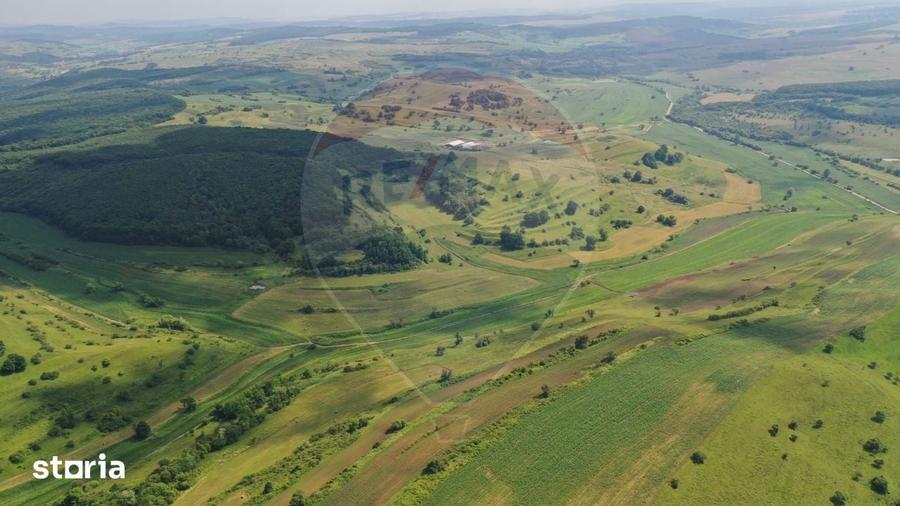 INVESTITIE REZILIENTA 300 HA Teren de vanzare in Zlagna Sibiu - 3