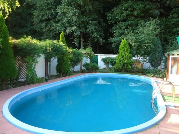 Vila piscina superba gradina matura cu iesire directa la padure - 8