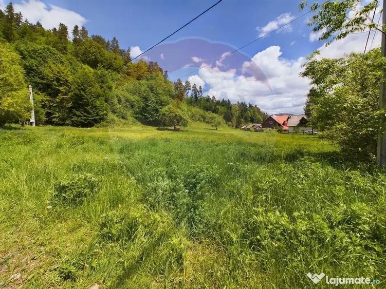 Comision 0%! Proprietate in natura, priveliste superba, S... - 5