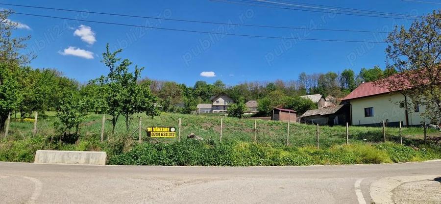 Teren intravilan Lamaseni 3.000 mp - 2