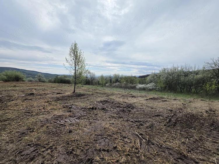 De vanzare teren intravilan 6704 mp Barsau, jud. Hunedoara - 13