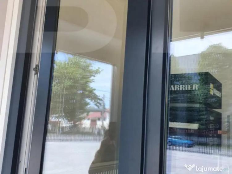 Vand vila in constructie - 4