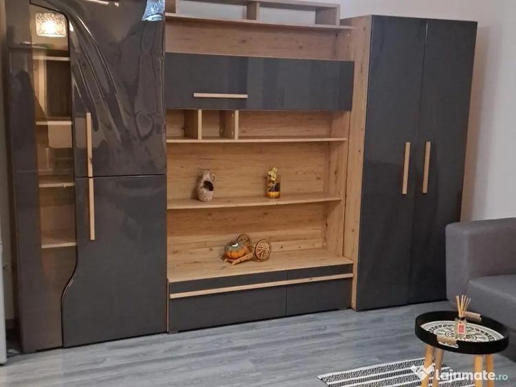 Apartament 2 camere Studio de inchiriat - ultracentral Ludus - 7