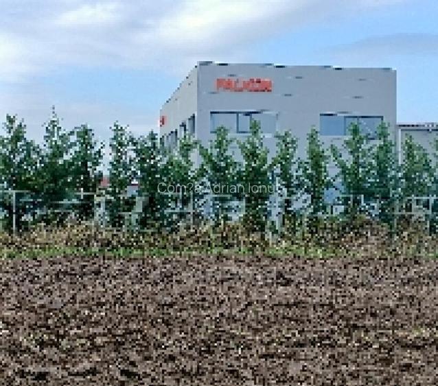 Teren 7700mp Lazuri, Dambovi?a