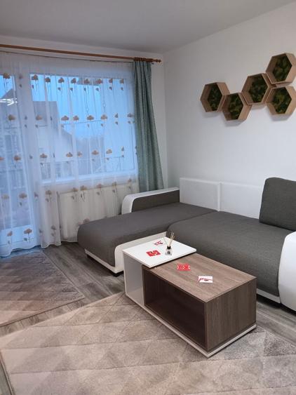 Dau in chirie ap cu 2 camere Remetea - 1