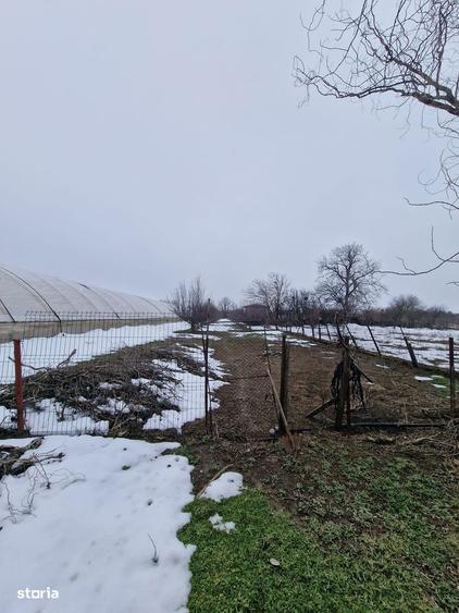 Casa + anexa gospodareasca de vanzare Vidra, sat Cretesti, Ilfov - 14