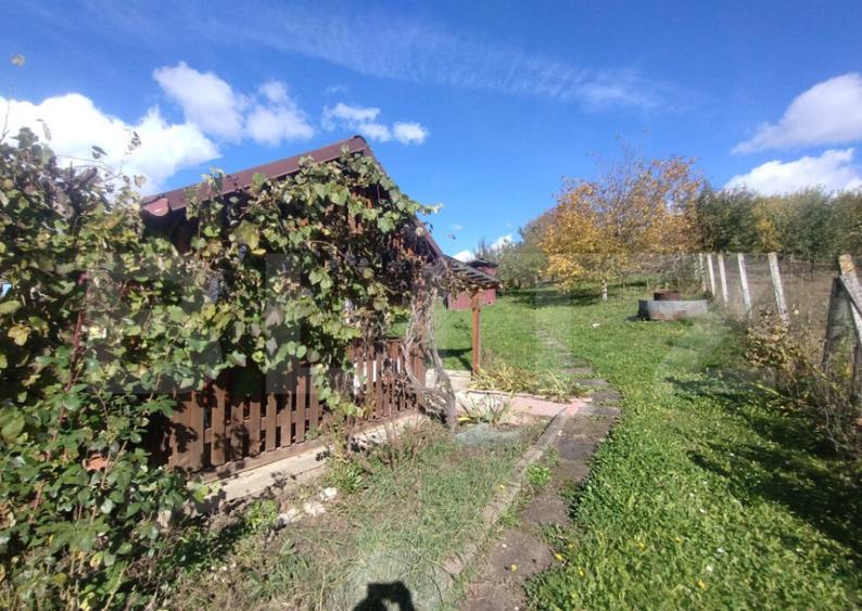 Cabana cu teren intravilan de 10 ari situat in Sigmir - 5
