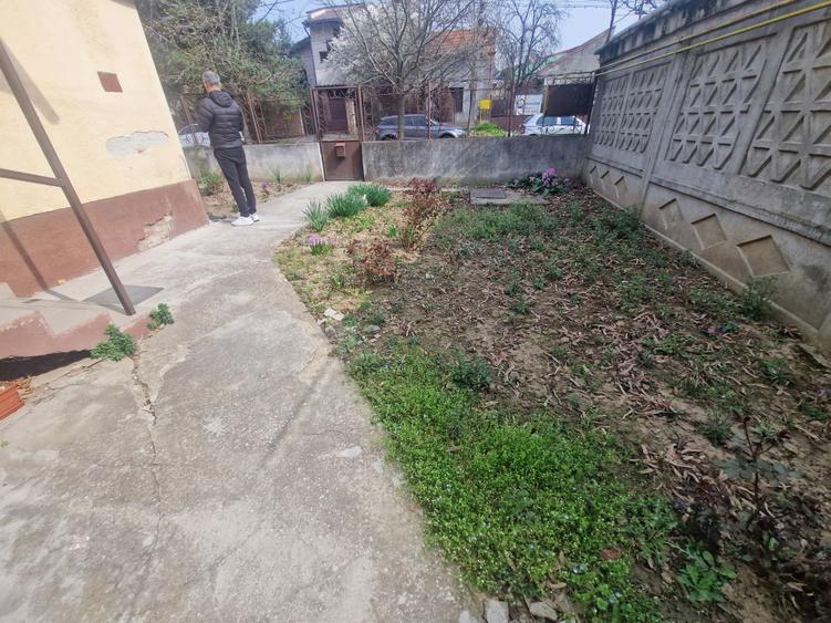 Casa situata in zona Blascovici, pe frumoasa strada Maslinului - 4