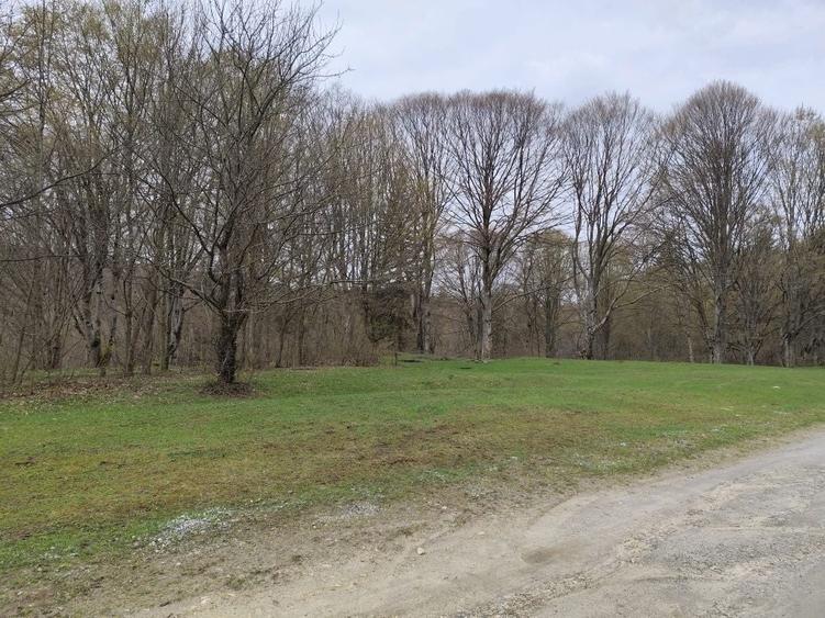 Vand Teren Valea Avrig - 3