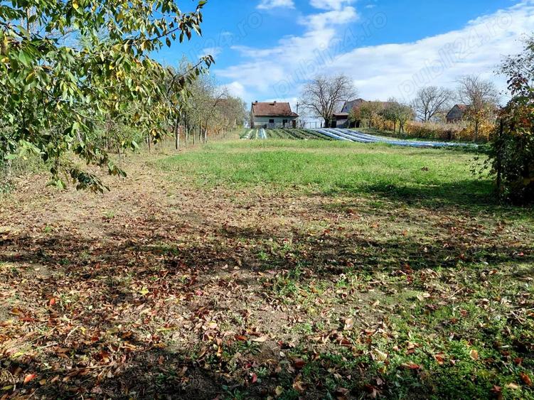 Casa de vanzare + gradina in sat Zagujeni - 2