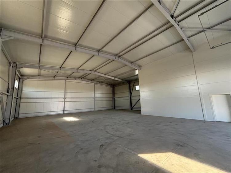 Inchiriere depozit/hala/spatiu industrial Chitila - Centura - Rudeni - 4