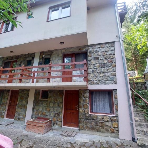 Hotel/Pensiune, de 450 mp, în Lepșa