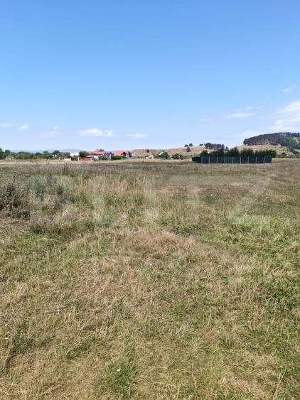 Teren Construcții intravilan de 1279 mp, în Sânpetru