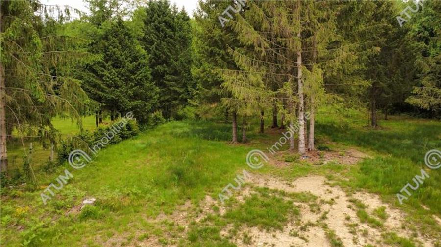 Teren intravilan de 3000 mp, în Porumbacu de Sus
