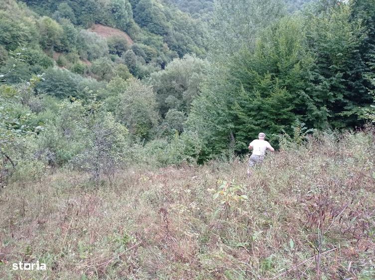 Teren de 32000 mp, în Rusca