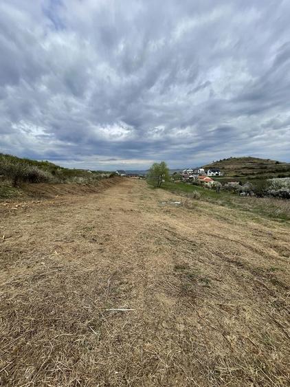 Teren de vanzare Tauti, Cluj. - 4
