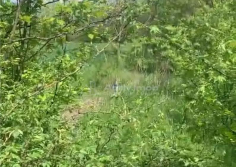 Teren intravilan 500 mp - Ganeasa - 2