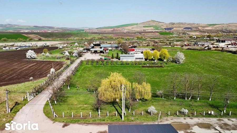 SE VINDE SAU SE INCHIRIAZA teren cu constructii Ludus - 7