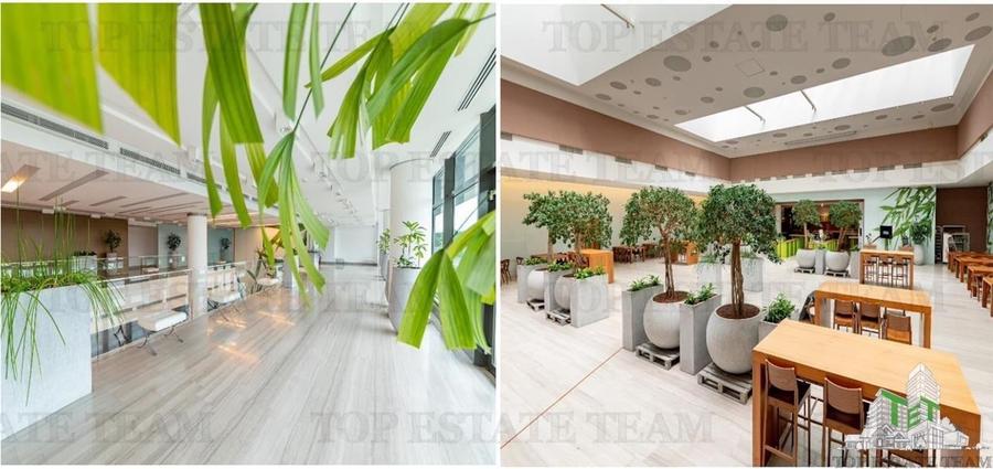 Spatiu de Birouri de 494 mp in Zona Baneasa - 1