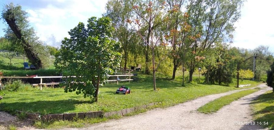 Vand casa cu 4,80 ha in Viisoara - 4