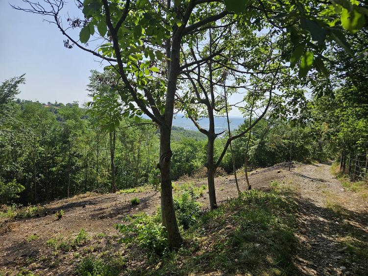 Prahova, orasul Boldesti-Scaeni, satul Seciu, teren 3007mp, d=36m - 8