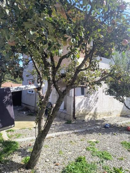 Casa renovata in Preluci la 12 Km de Comanesti , fantana si centrala proprie - 18