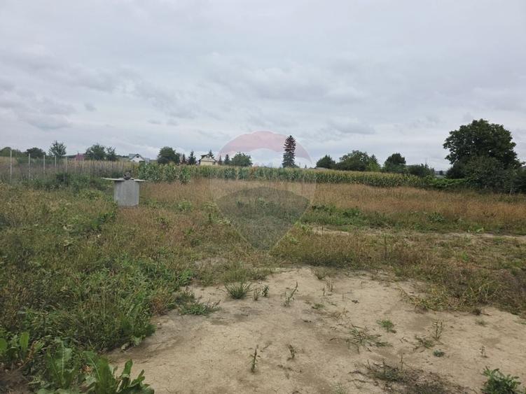 Casă cu livadă și teren generos – Girov - 47