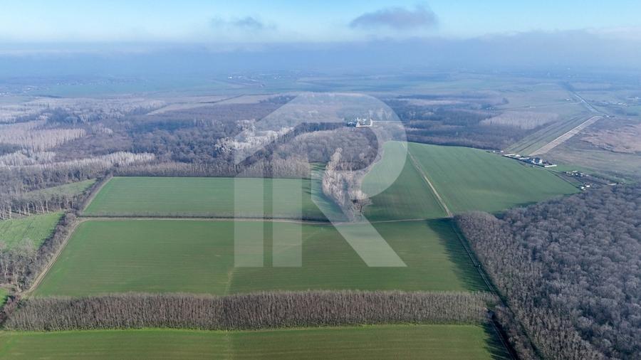 Teren langa Manastirea Sfantul Nicolae Sitaru - 3