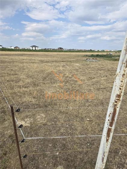 TEREN INTRAVILAN 568 MP | PROIECT CASA | CIHEI SANMARTIN | BIHOR - 4