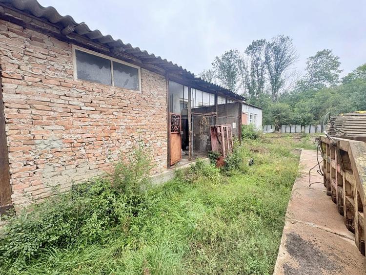 Teren in mijlocul padurii Valu lui Traian 1875 mp si cladire 450 mp hala - 6