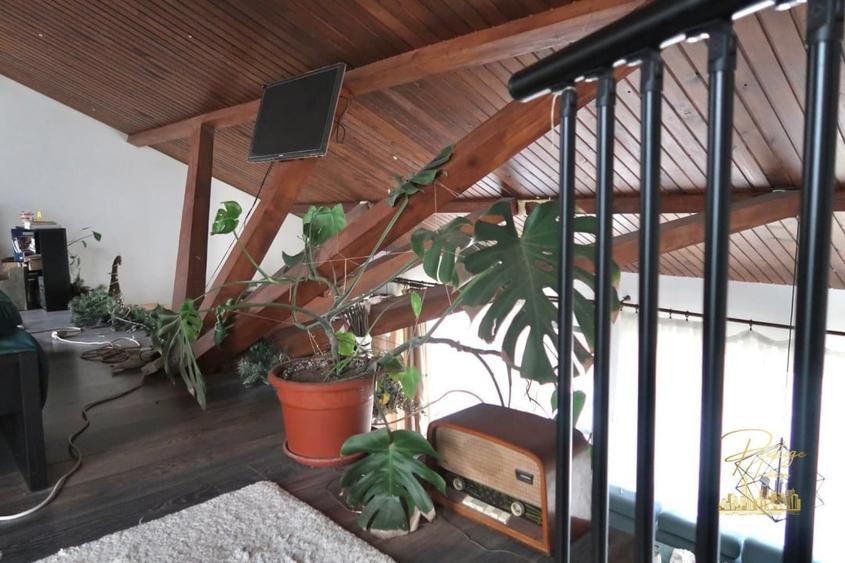 Domeniu - Centru de colectare, 7 ha de vanzare in Valea lui Mihai - 34