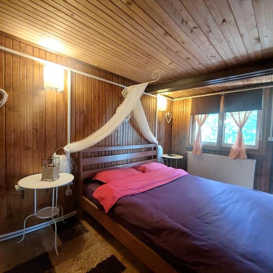 Casa de vacanta (Pensiune) in Lepsa - 12