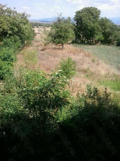 O proprietate speciala, versatila, in regim Demisol+Parter+Etaj si 1500mp teren - 4