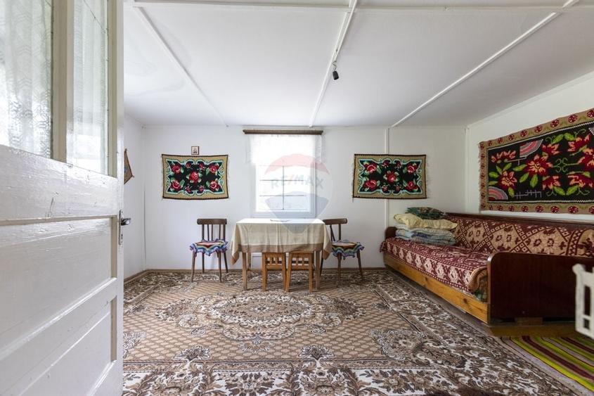 Ferma de vanzare, teren 21436 mp intravilan, Cosnea, Agas - 17