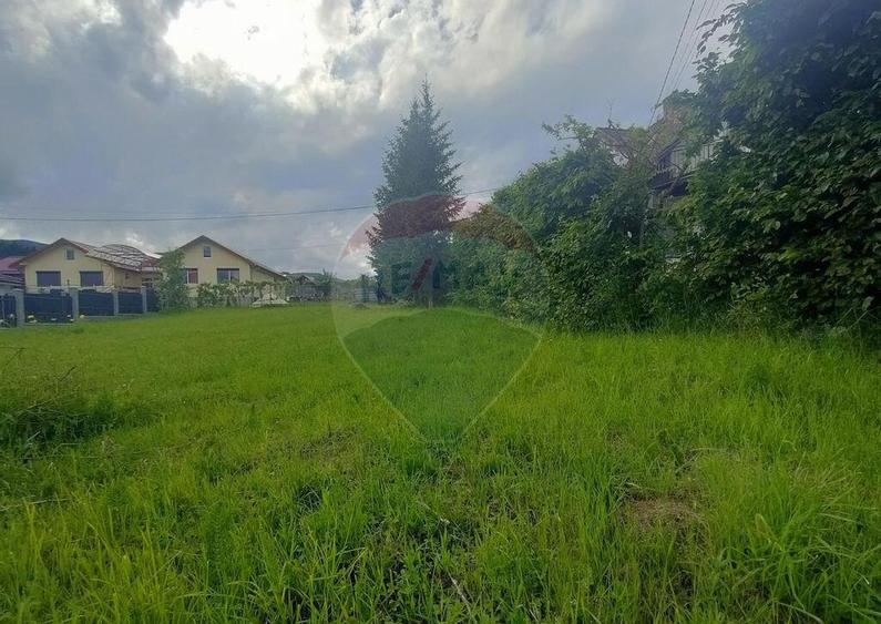 Teren intravilan de vanzare - 22