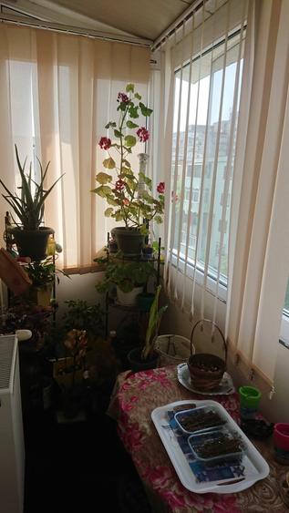 Apartament 2 camere | Zona Unirii Sud / Viitorului | Confort 1 decomandat | 53 m - 11