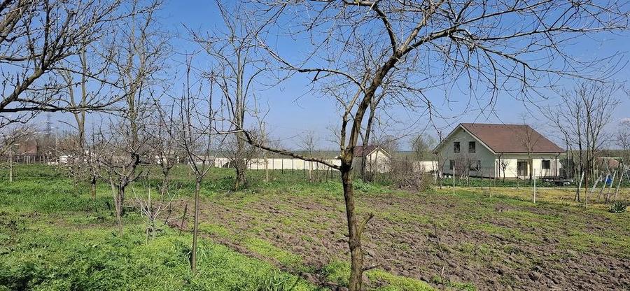 Casa Ciocarlia 100 mp + 1600 mp curte - 5