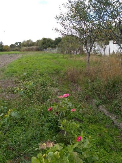 Reco Casa in Cefa  Centrala la 20km de Oradea - 6