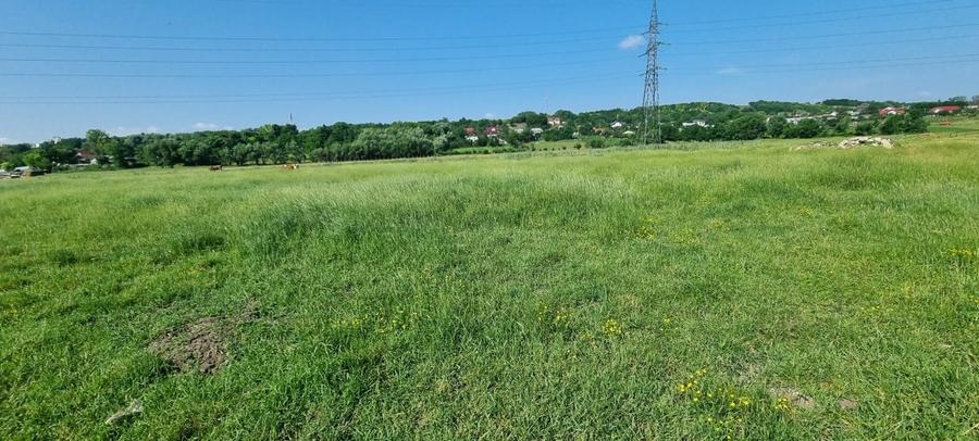 Teren intravilan in Rachiti - 3